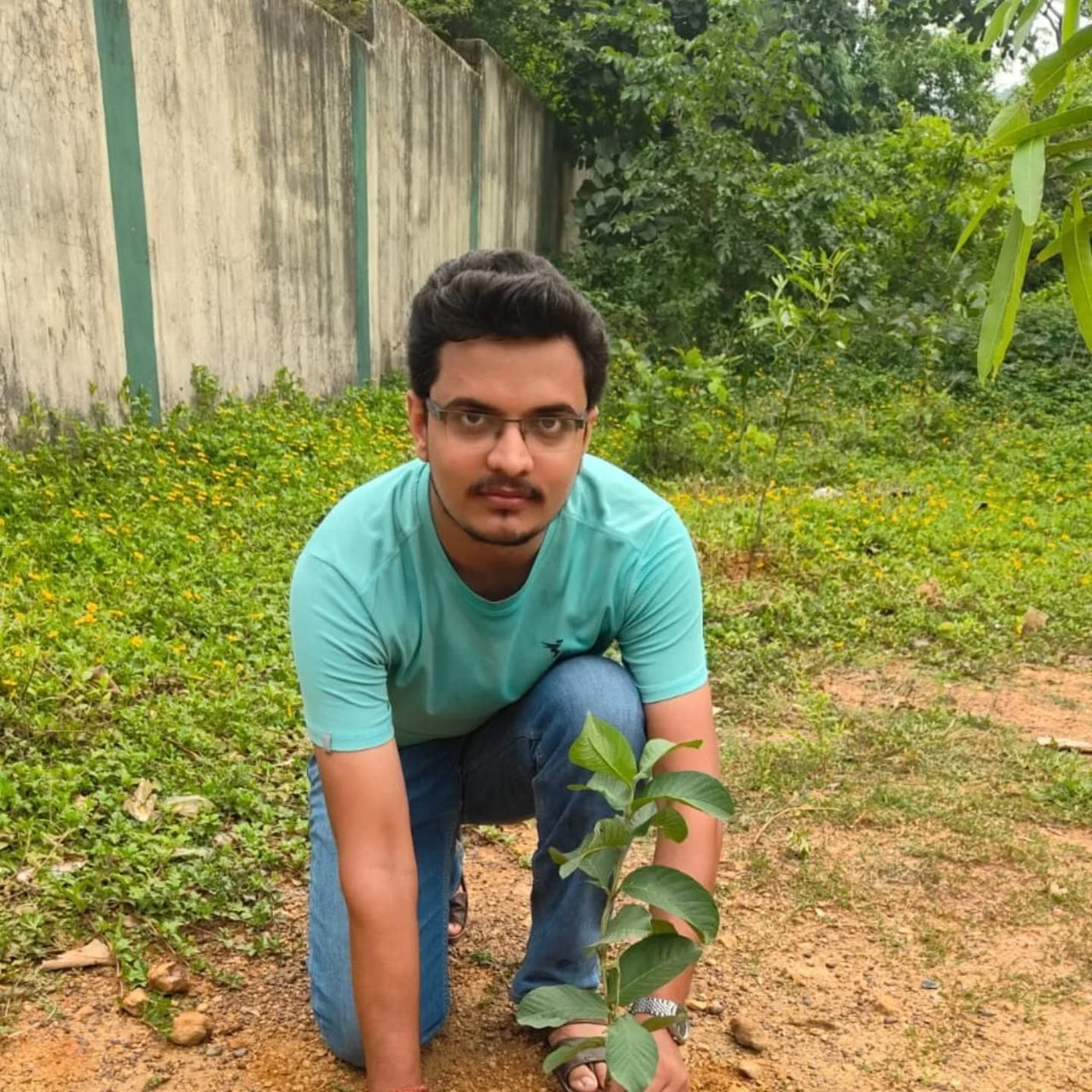 11-Day Mega Plantation Drive — photo 4