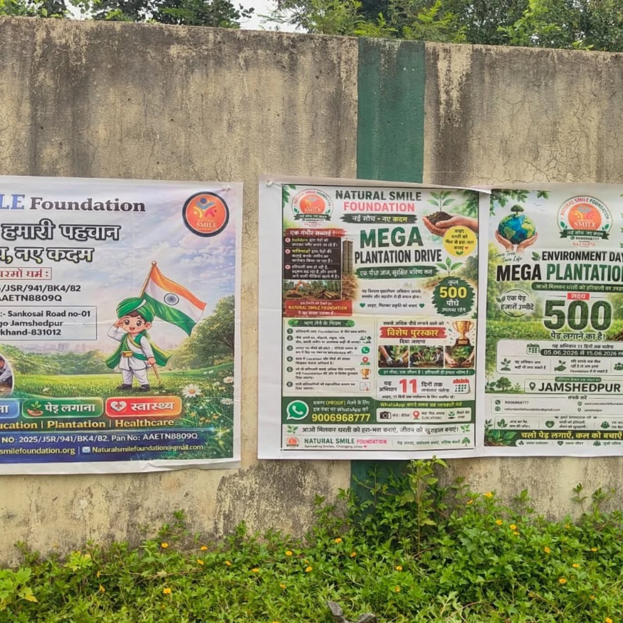 11-Day Mega Plantation Drive — photo 14