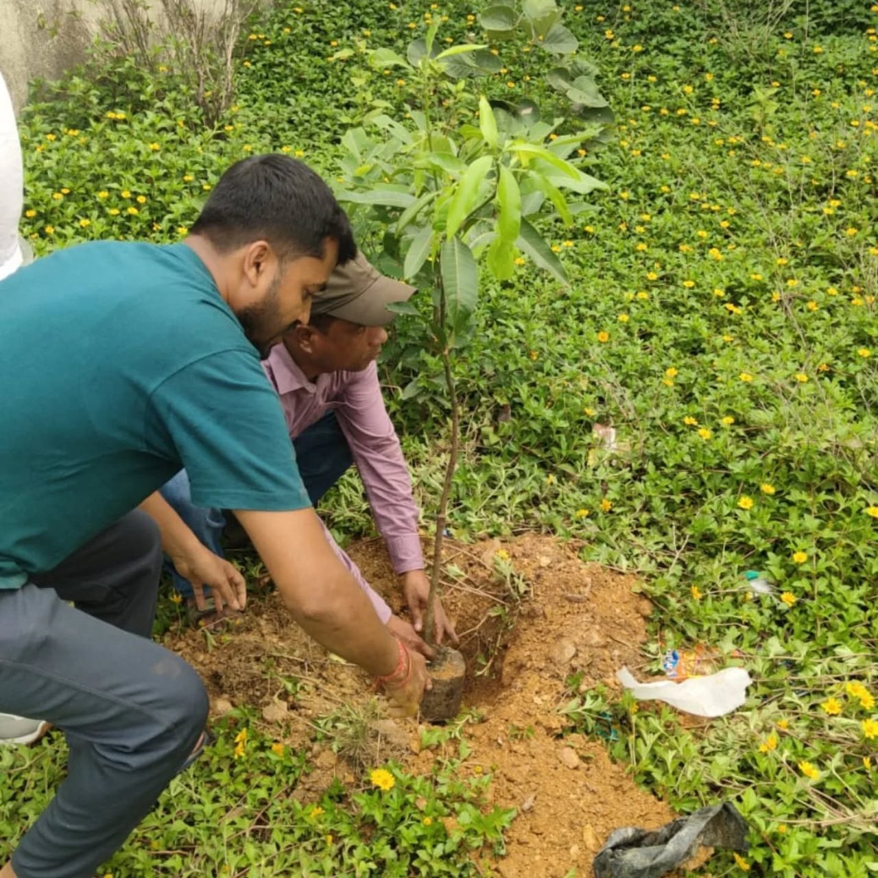 11-Day Mega Plantation Drive — photo 3