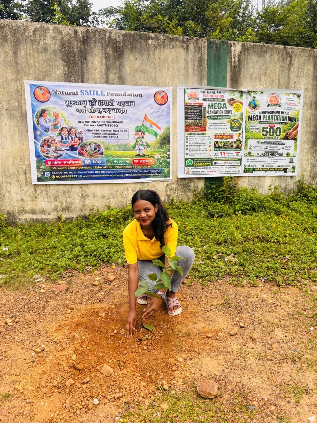 Tree Plantation Drive